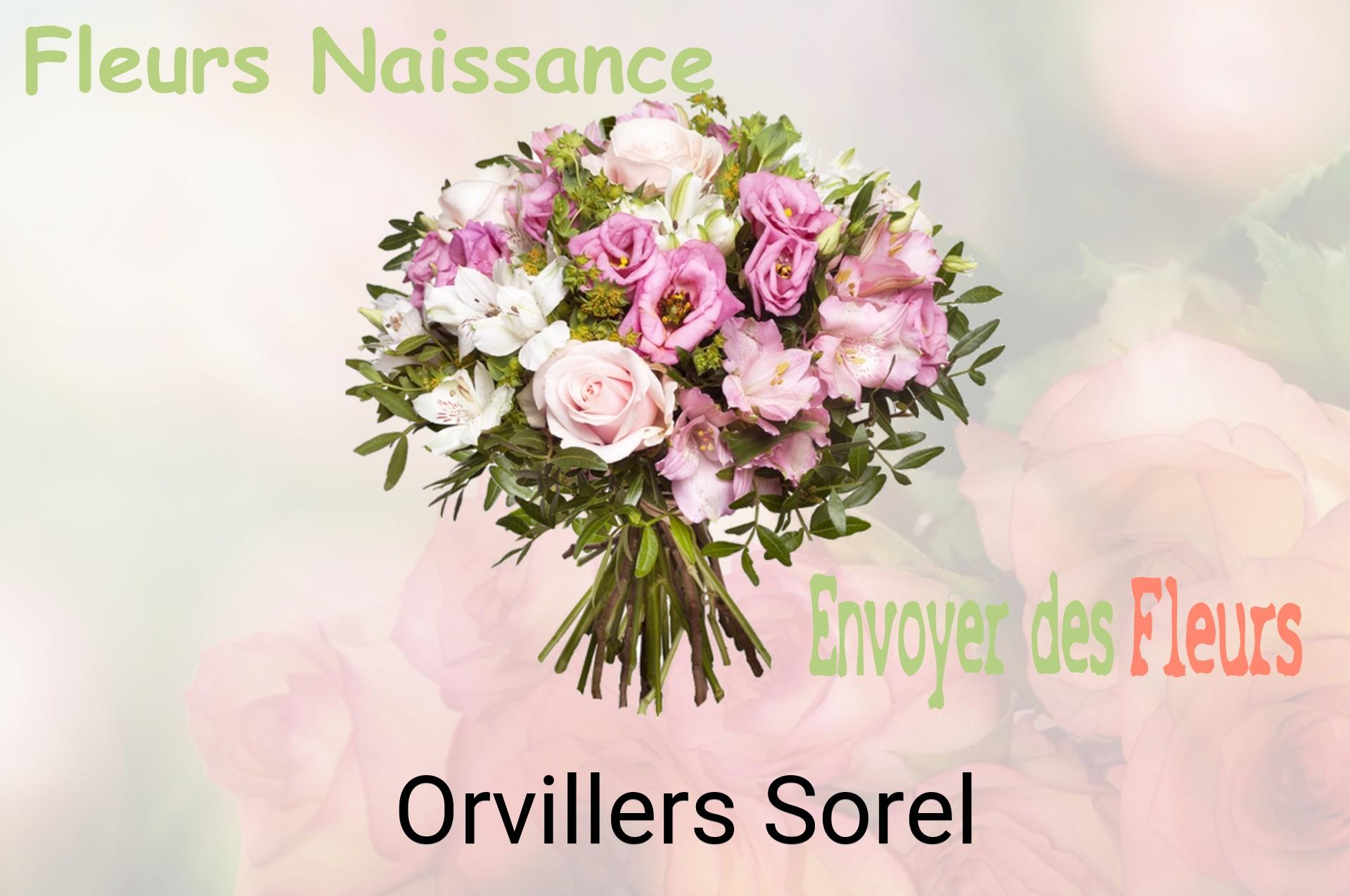 Bouquet de fleurs de naissance livré à Orvillers-Sorel